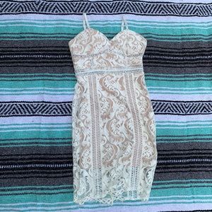 🌺Fashion Nova Baby Don’t Lie Dress NWT 🌺